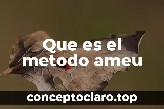 Que es el metodo ameu