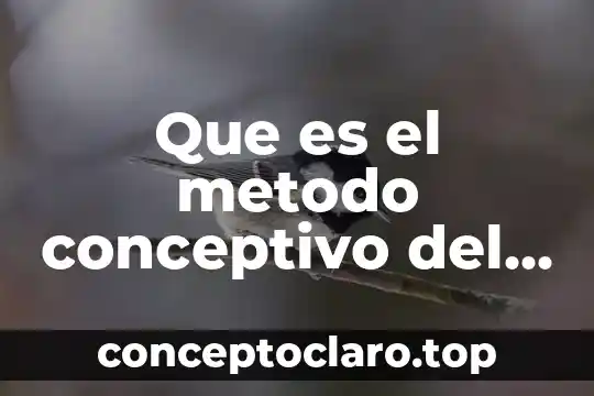 Que es significado ritmo obstetricia 6 Que es el metodo conceptivo del ritmo