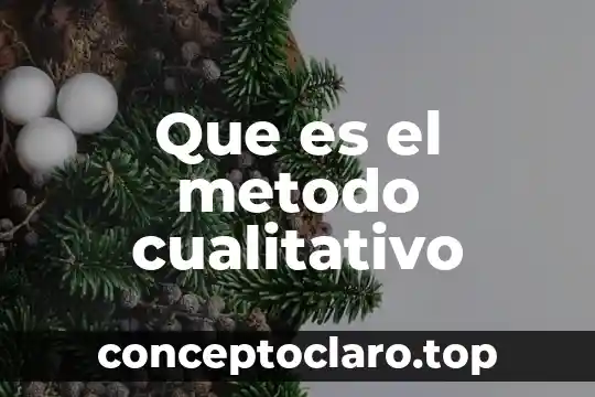 Que es el metodo cualitativo