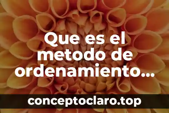 Software estadístico que es usado por las empresas 8 Que es el metodo de ordenamiento en las empresas
