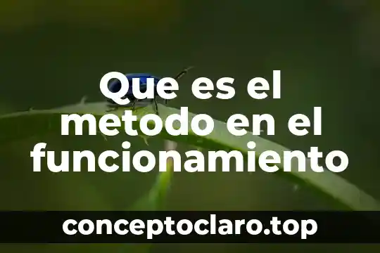 Que es el metodo en el funcionamiento