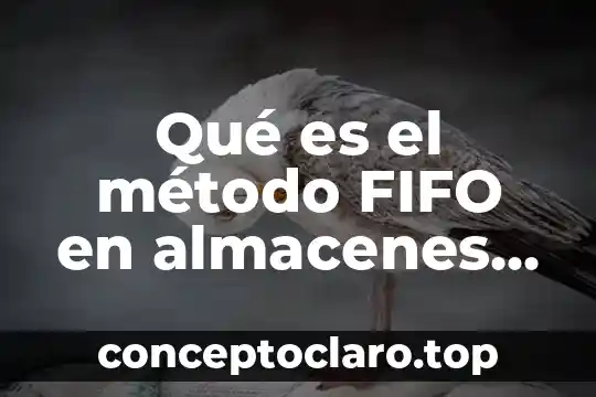Que es el metodo de las diagonales 3 Qué es el método FIFO en almacenes de PT