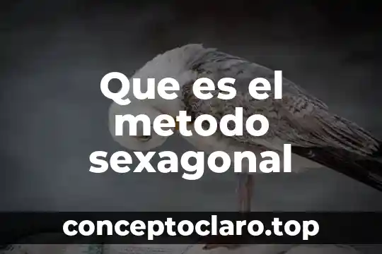 Que es el metodo wordl 4 Que es el metodo sexagonal