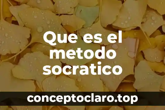 Que es el metodo socratico
