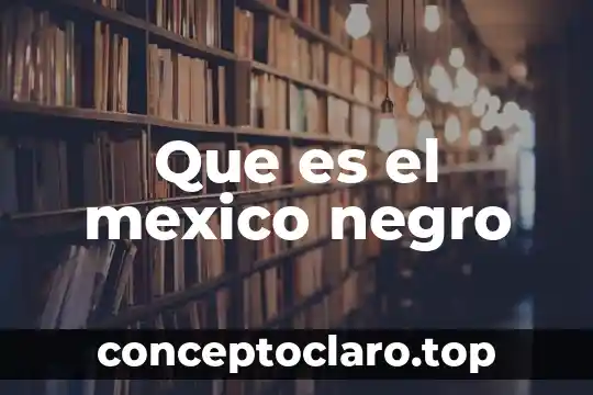 Qué es la inversión privada México 4 Que es el mexico negro