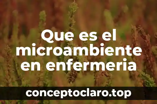 Que es codigo de usuario en enfermeria 4 Que es el microambiente en enfermeria