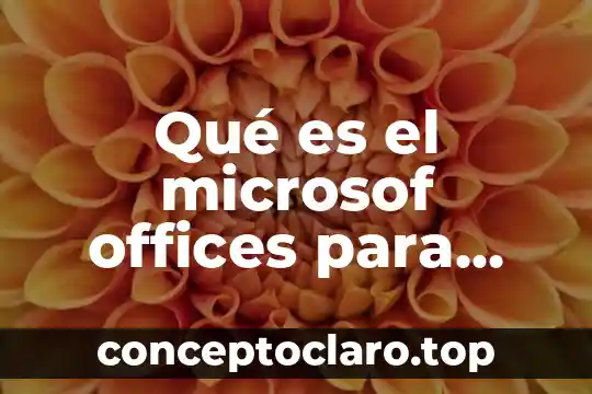 Qué es el microsof offices para niños de quinto grado