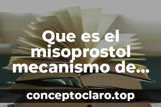 Que es un resorte de mecanismo para una llanta 3 Que es el misoprostol mecanismo de accion