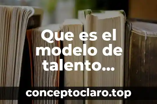 Que es un modelo y que tipos hay 5 Que es el modelo de talento emprendedor