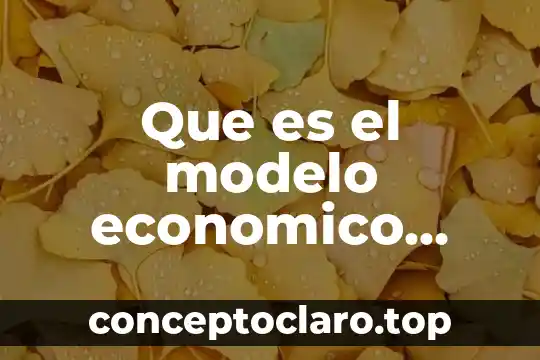 Que es un modelo y que tipos hay 7 Que es el modelo economico exportador