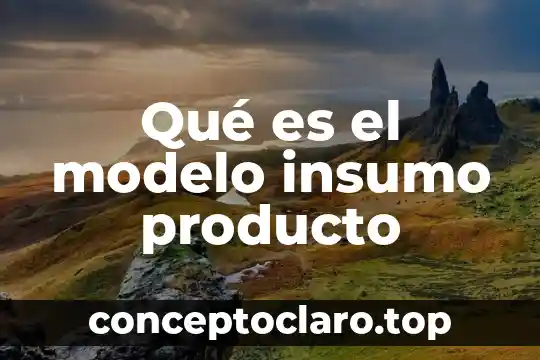 Qué es el modelo insumo producto