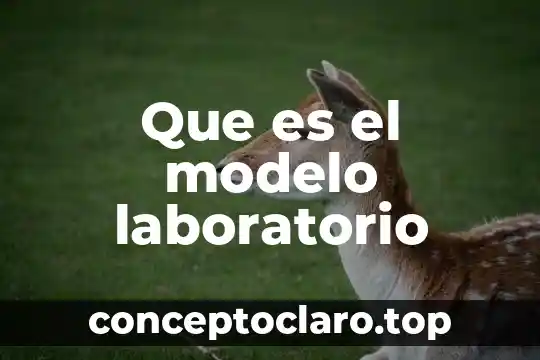 Que es el modelo laboratorio