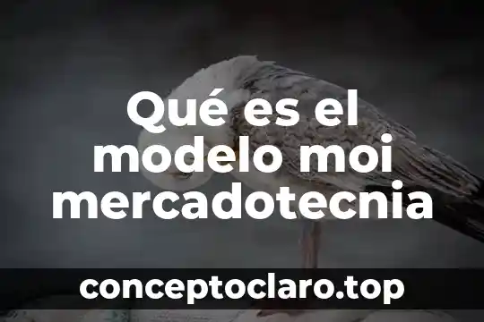 Que es un modelo y que tipos hay 6 Qué es el modelo moi mercadotecnia