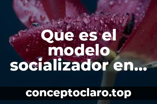 Que es la conciencia social ejemplos 4 Que es el modelo socializador en trabajo social