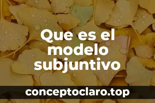 Que es el modelo subjuntivo