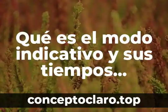 Qué es el modo indicativo y sus tiempos simples