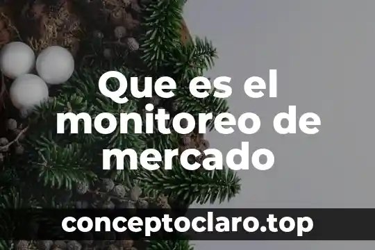 Qué es el mercado internacional de capitales 6 Que es el monitoreo de mercado