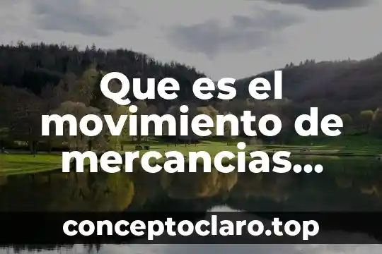 Que es el movimiento de mercancias contabilidad