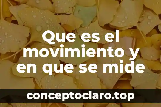 Que es el movimiento y en que se mide