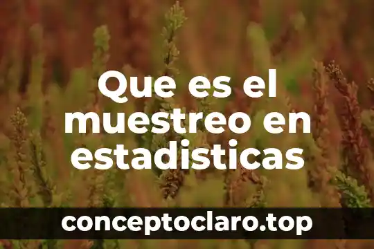 Que es el muestreo en estadisticas