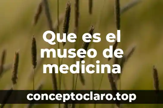 Que es un principio medicina 7 Que es el museo de medicina