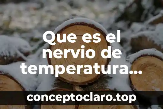 Que es el nervio de temperatura de una sola