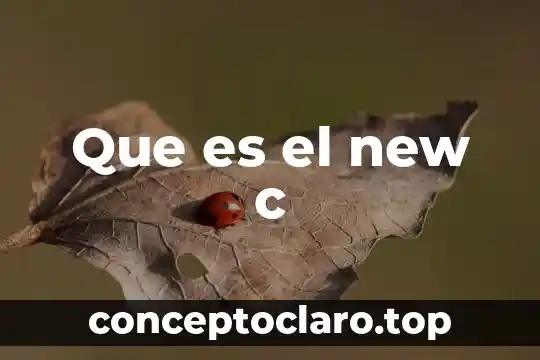 Que es el new c