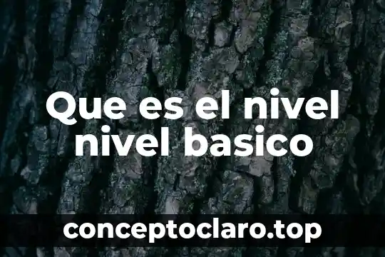 Que es el poema concepto basico 7 Que es el nivel nivel basico