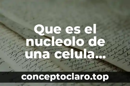 Que es el nucleolo de una celula vegetal