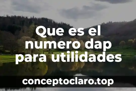 Número cuántico m que es 4 Que es el numero dap para utilidades