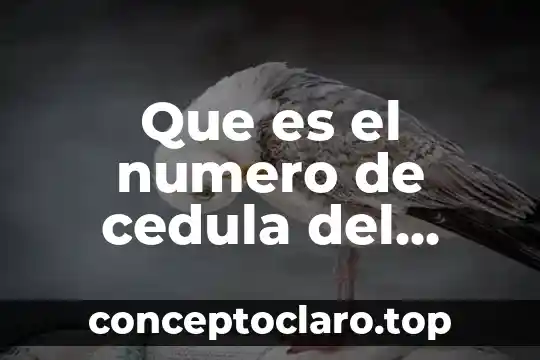 Número de other que es 3 Que es el numero de cedula del titular