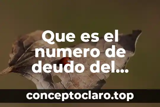 Concepto 93 talones de cheque pension del issste que es 5 Que es el numero de deudo del issste
