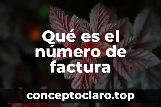 Qué es el número de factura