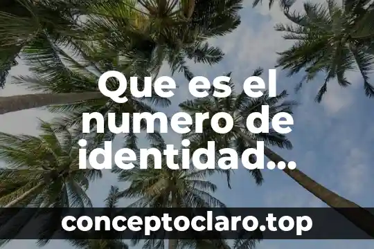 Que es el numero de identidad extrangero