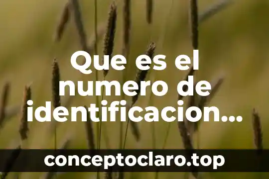 Qué es el número de factura 6 Que es el numero de identificacion de impuestos