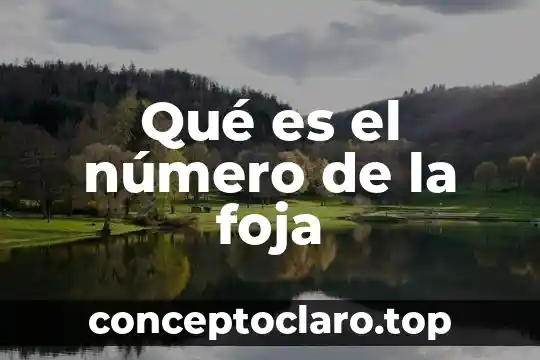 Qué es el número de la foja