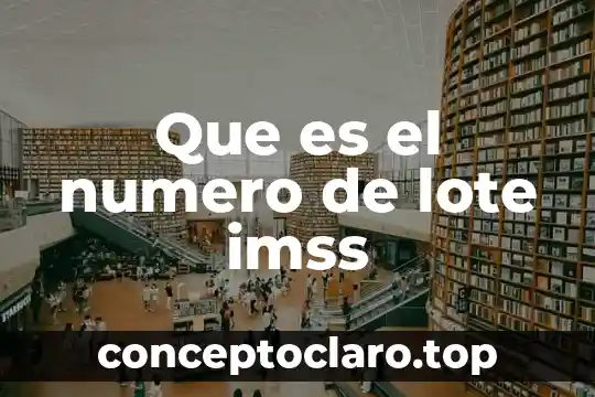Para que es necesario calcular el lote económico de compra 6 Que es el numero de lote imss