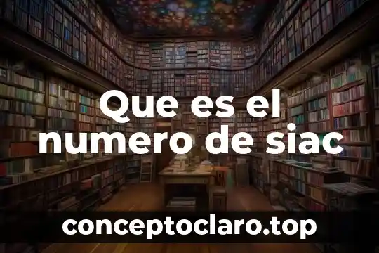 Qué es el número consecutivo interno 8 Que es el numero de siac