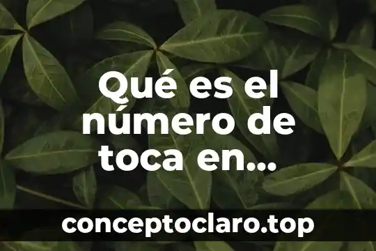 Qué es el número de toca en derecho