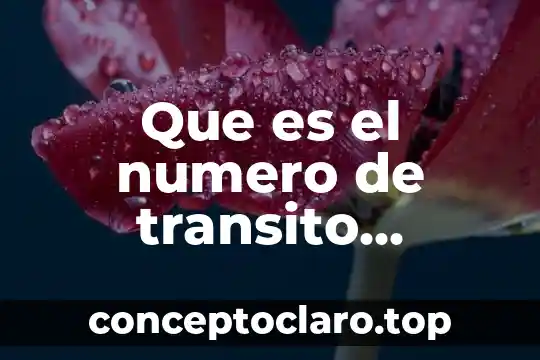 Que es el numero de transito bancario