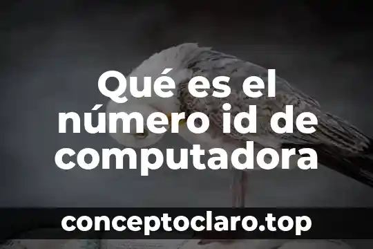 Qué es el número id de computadora