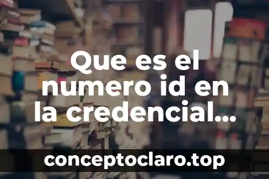 Qué es el número de id de una persona 3 Que es el numero id en la credencial de elector