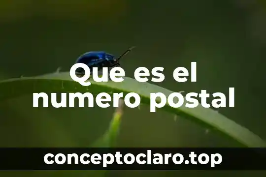 Que es el numero postal