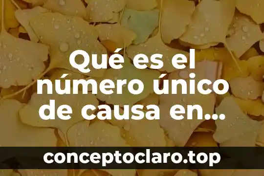Qué es el número único de causa en México