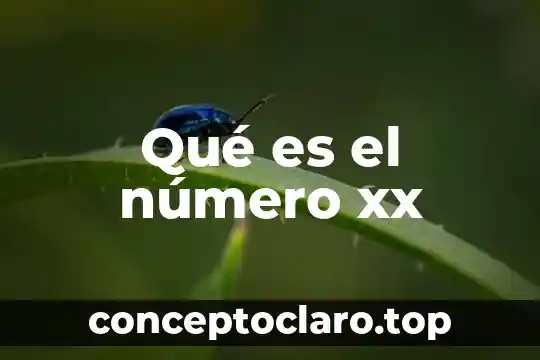 Número de other que es 7 Qué es el número xx