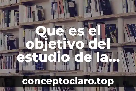Que es codigo de usuario en enfermeria 5 Que es el objetivo del estudio de la enfermeria