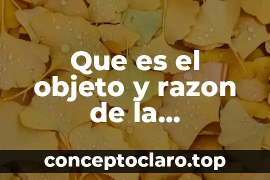 Que es el objeto y razon de la investigacion