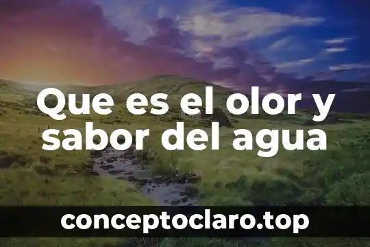 Que es el olor y sabor del agua
