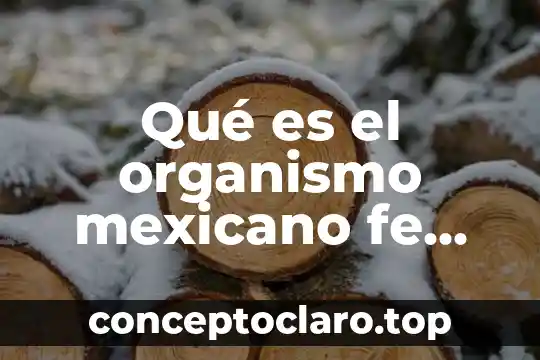 Que es un organismo resultados integrales 5 Qué es el organismo mexicano fe minerales