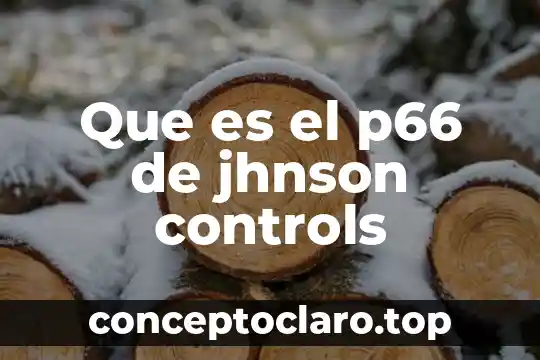 Vitrocerámica que es compuesto 8 Que es el p66 de jhnson controls
